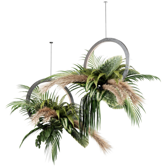 Rośliny doniczkowe Indoor Hanging Set 42 model 3D