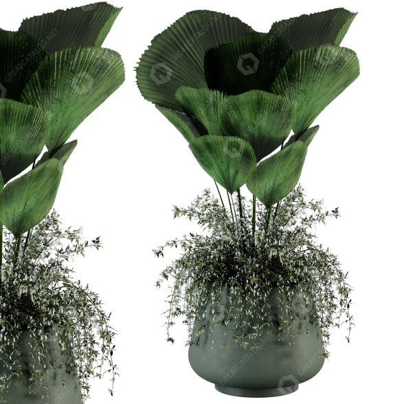 Roślina doniczkowa Set 41 model 3D