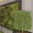 Brunnen Band 03 - design.sabori-35949