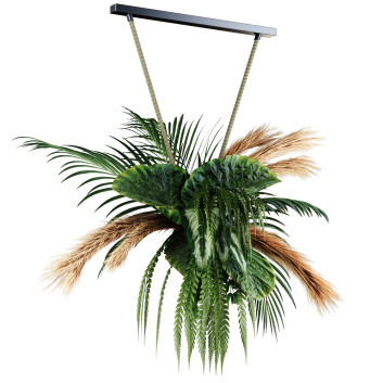 Roślina doniczkowa  Indoor Hanging Set 42 Model 3D