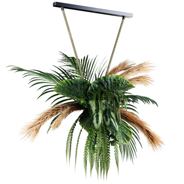 Potted Plant Indoor Hanging Set 42 3D model