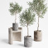 Plantas en macetas Conjunto de interior 09 - farshidtavakoli