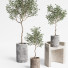 Plantas en macetas Conjunto de interior 09 - farshidtavakoli