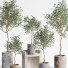 Plantas en macetas Conjunto de interior 09 - farshidtavakoli