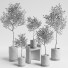 Plantas en macetas Conjunto de interior 09 - farshidtavakoli
