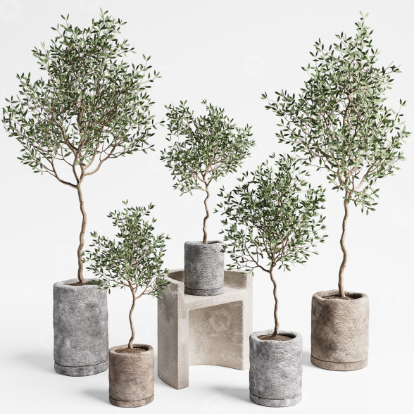 Plantas en macetas Conjunto de interior 09 Modelo 3D