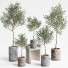 Plantas en macetas Conjunto de interior 09 - farshidtavakoli