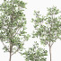 Plantes en pot Ensemble intérieur 11 - farshidtavakoli