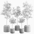 Plantes en pot Ensemble intérieur 11 - farshidtavakoli