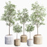 Plantes en pot Ensemble intérieur 11 - farshidtavakoli