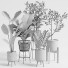 Plantas en macetas Conjunto de interior 07 - farshidtavakoli