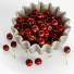 Fruits Cherry Red - bahartanhaee