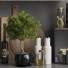 Декор Kitchen Accessories 036 - Mahsa-khoroushi