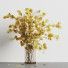 Blumenstrauß Dekorative Pflanzen 001 - Mahsa-khoroushi