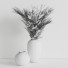 Vasen Decorative Plants 002 - Mahsa-khoroushi