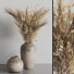 Vasen Decorative Plants 002 - Mahsa-khoroushi