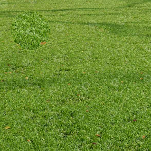 L'herbe Parc été modèle 3D
