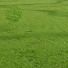 L'herbe Parc été - Pandora-land