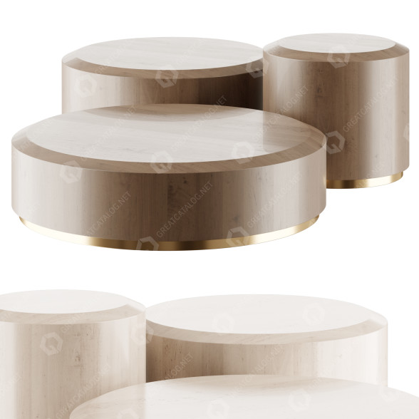 Mesas de centro Gallotti&Radice Gong Modelo 3D