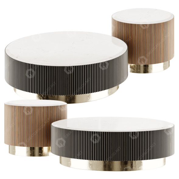 Couchtische Gallotti&Radice Nori 3D-Modell
