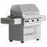 Grill Kalamazoo Freestanding Gas - andreyhrymaliuk