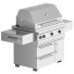 Grill Kalamazoo Freestanding Gas - andreyhrymaliuk