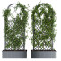 Żywopłot Ivy Plant Set 01 - milad-rahimi