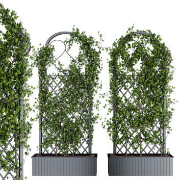Żywopłot  Ivy Plant Set 01 Model 3D