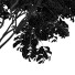 Árboles Hoja de cereza japonesa y Amelanchier Lamarckii - Pandora-land