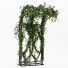 Couverture Ensemble de plantes de lierre 03 - milad-rahimi