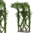 Couverture Ensemble de plantes de lierre 03 - milad-rahimi
