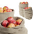 Owoc Apples in Bags - andreyhrymaliuk