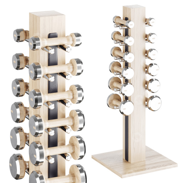 Стійка та гантелі Pent Colmia Set Light 3D модель