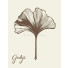 Colgante Ginkgo Biloba - Sanik well