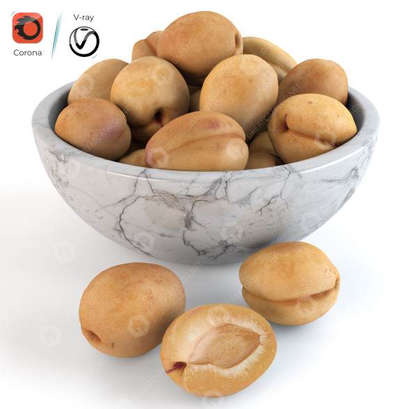 Fruits Apricots modèle 3D