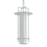 Підвісний світильник Troy Lighting Carroll Park - SH.X