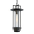 Підвісний світильник Troy Lighting Carroll Park - SH.X