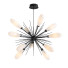 Chandelier Hammerton Studio Fiori Oval Starburst - SH.X