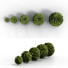 Bushes Boxwood Spherical Collection - Hemase