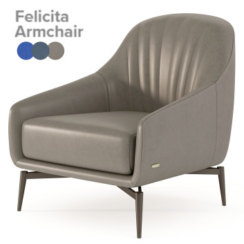 Fauteuil  Natuzzi Felicita Modèle 3D