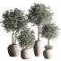Plantes en pot Ensemble intérieur 044 - nasrinrad