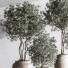 Plantes en pot Ensemble intérieur 044 - nasrinrad