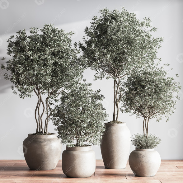 Plantes en pot Ensemble intérieur 044 modèle 3D