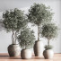 Plantes en pot Ensemble intérieur 044 - nasrinrad