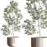Plantes en pot Ensemble intérieur 045 - nasrinrad