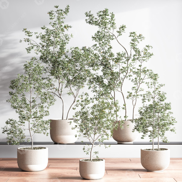 Plantes en pot Ensemble intérieur 045 modèle 3D