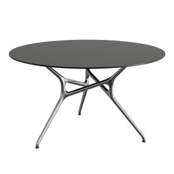 Cappellini Branch 3D модель