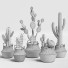 Plantas en macetas Conjunto de Cactus 13 - farshidtavakoli