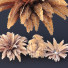 Büsche Eisenfarn Matonia Pectinata Milzblume Asplenium - Pandora-land