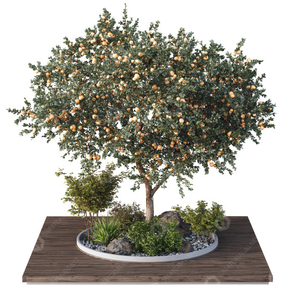 Bäume und Sträucher Gartenkiste Draußen 3D-Modell